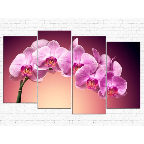 Цветы орхидеи № 08046ЦО