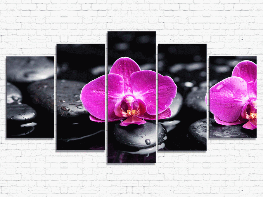 Цветы орхидеи № 585ЦО