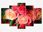Цветы розы № 8053ЦР