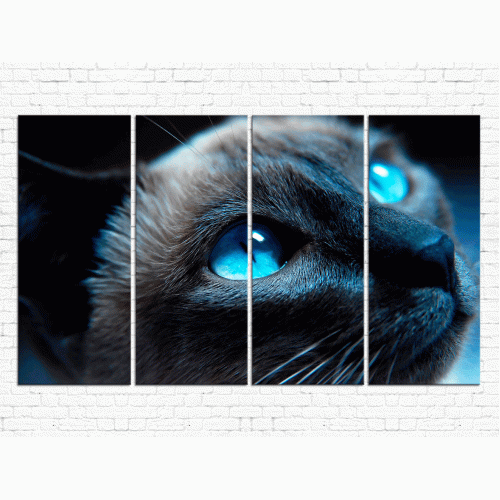 Модульная картина Кошки № 6518Ж