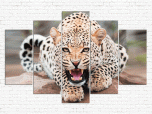 Модульная картина Леопард № 002Ж