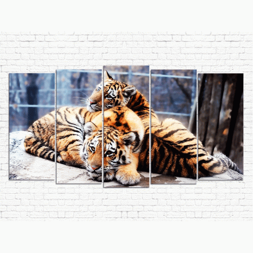 Модульная картина Тигры № 006Ж